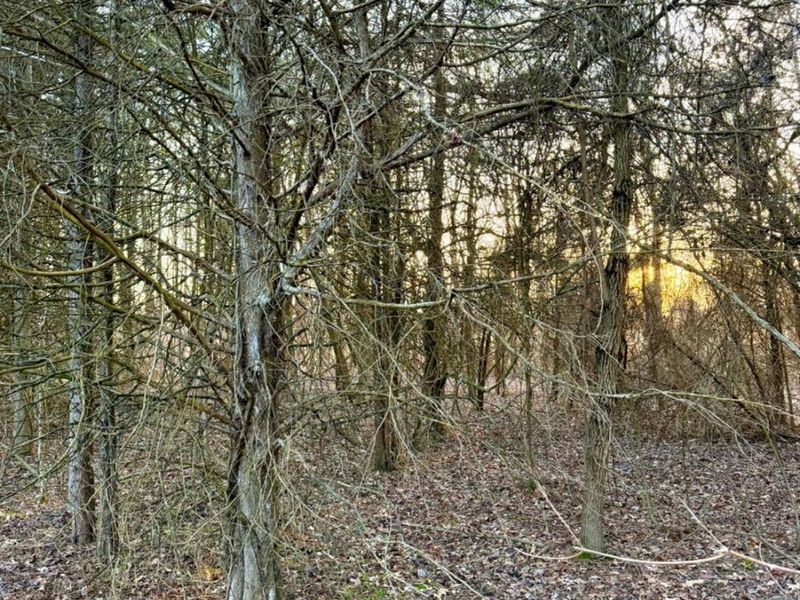 0 Martin Alexander Road, Jackson Twp, OH 45171 Photo 35