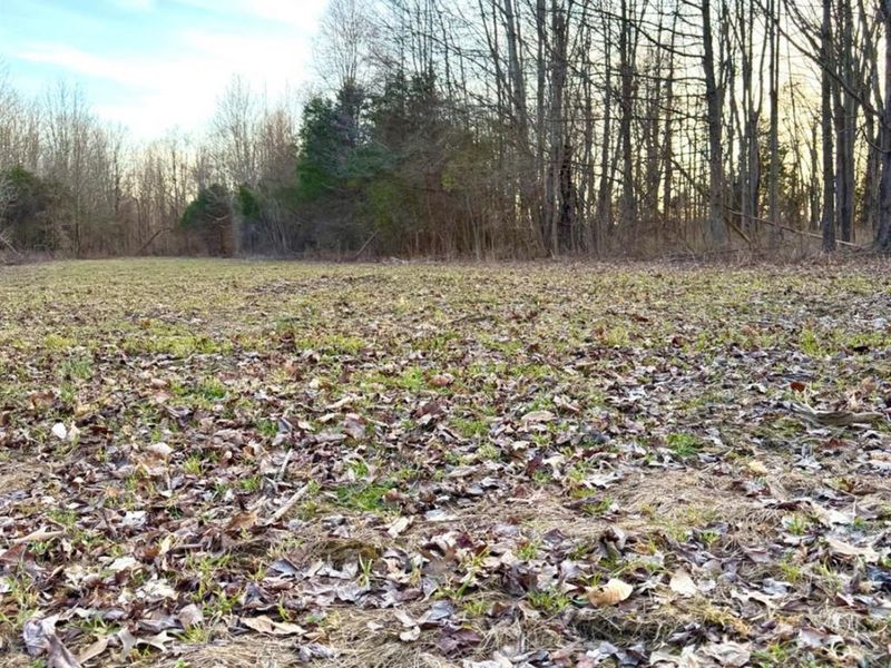 0 Martin Alexander Road, Jackson Twp, OH 45171 Photo 37