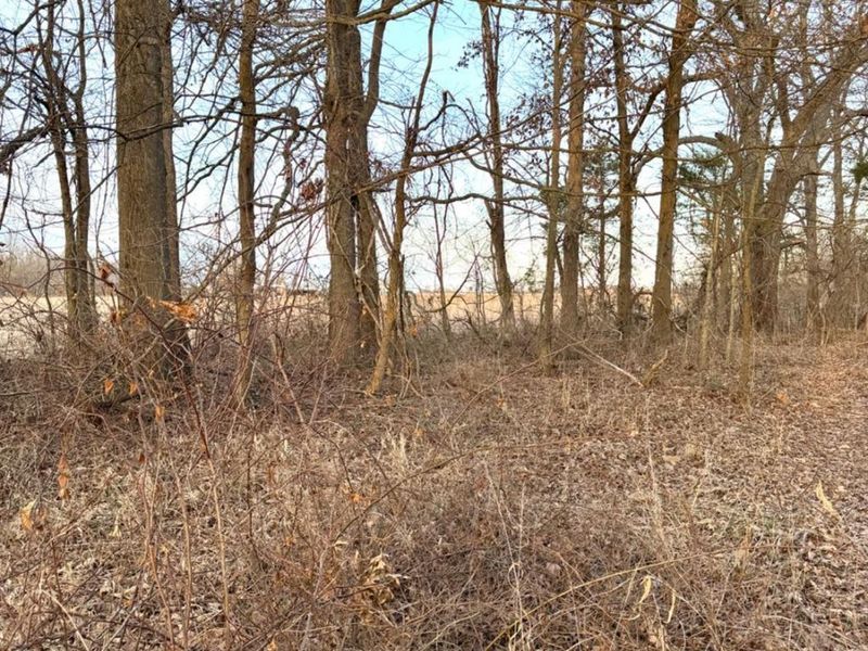 0 Martin Alexander Road, Jackson Twp, OH 45171 Photo 38