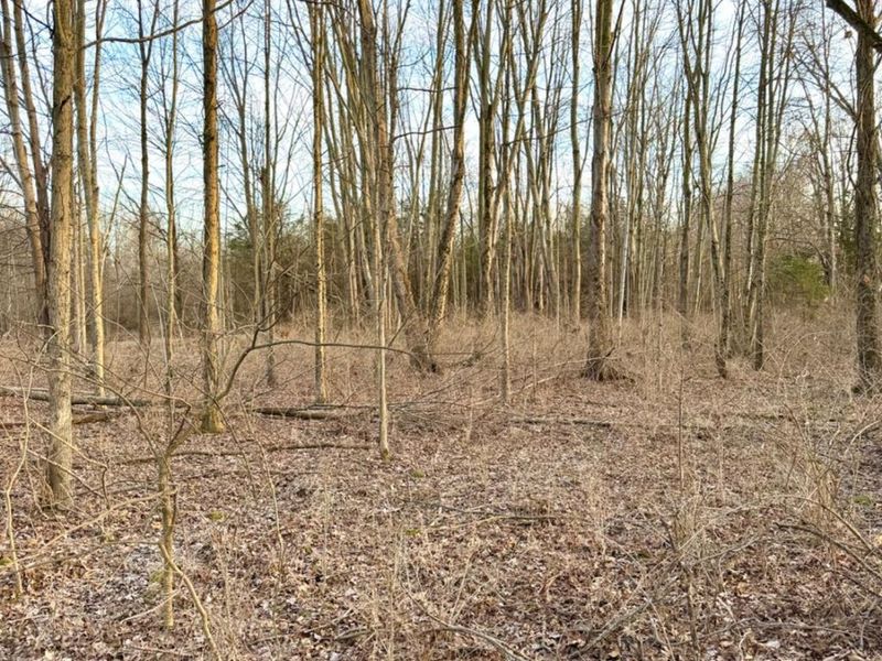 0 Martin Alexander Road, Jackson Twp, OH 45171 Photo 39