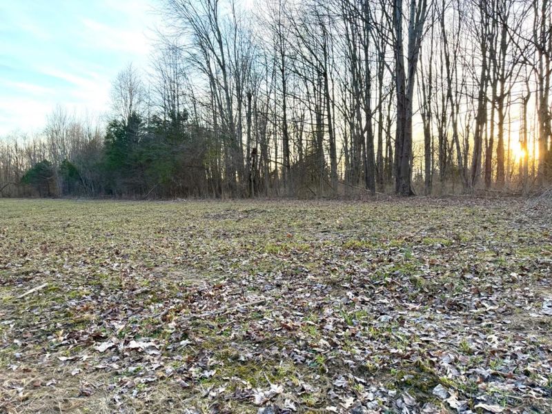 0 Martin Alexander Road, Jackson Twp, OH 45171 Photo 4