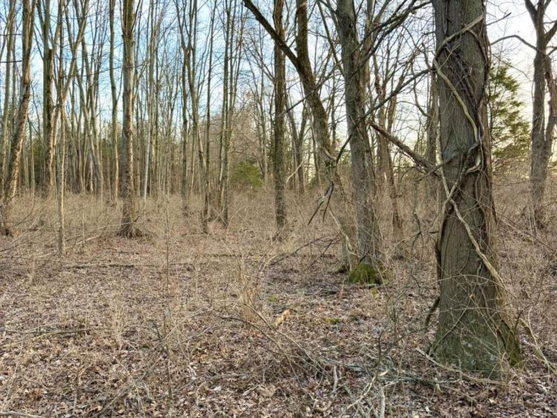 0 Martin Alexander Road, Jackson Twp, OH 45171 Photo 40