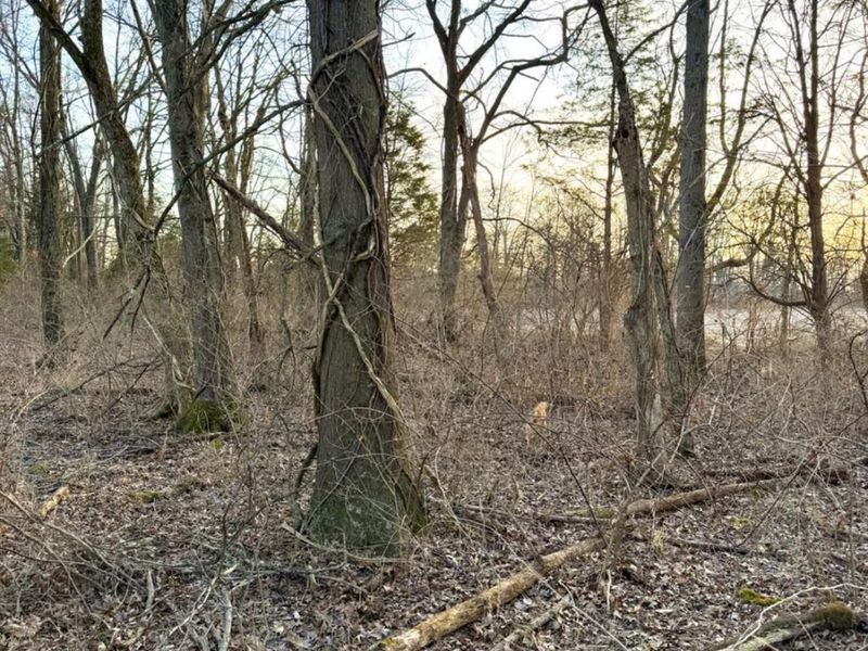 0 Martin Alexander Road, Jackson Twp, OH 45171 Photo 41