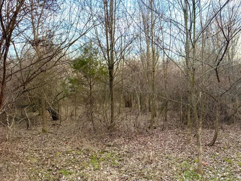 0 Martin Alexander Road, Jackson Twp, OH 45171 Photo 42