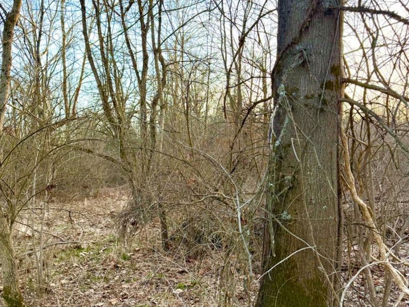 0 Martin Alexander Road, Jackson Twp, OH 45171 Photo 43