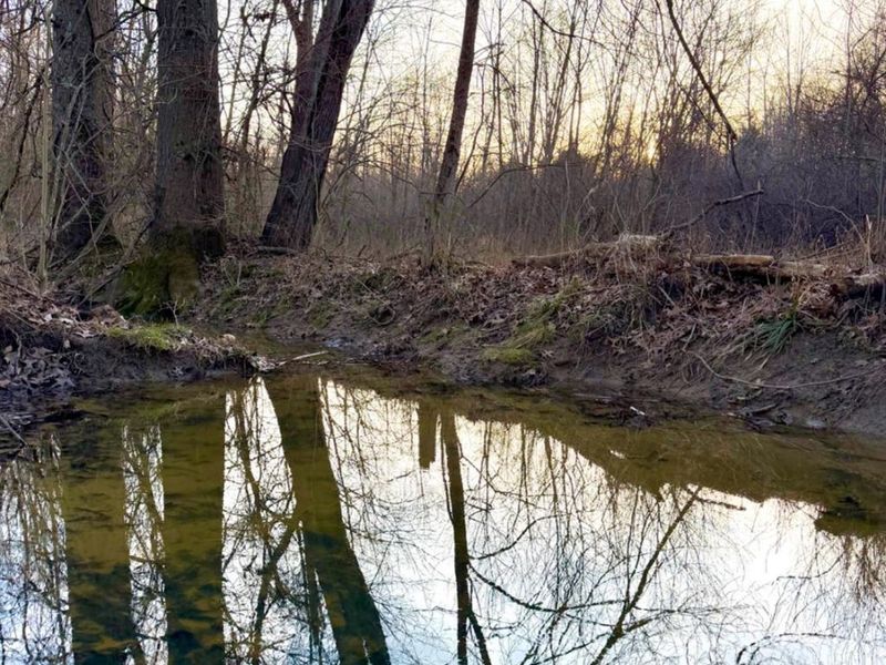 0 Martin Alexander Road, Jackson Twp, OH 45171 Photo 44