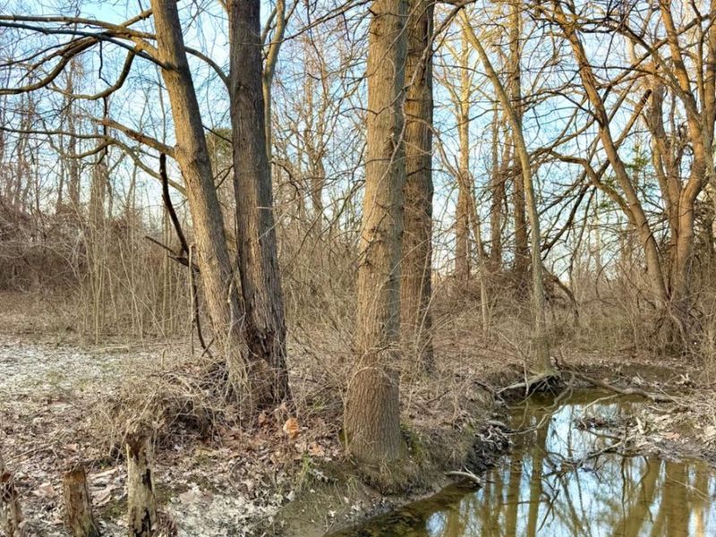 0 Martin Alexander Road, Jackson Twp, OH 45171 Photo 45