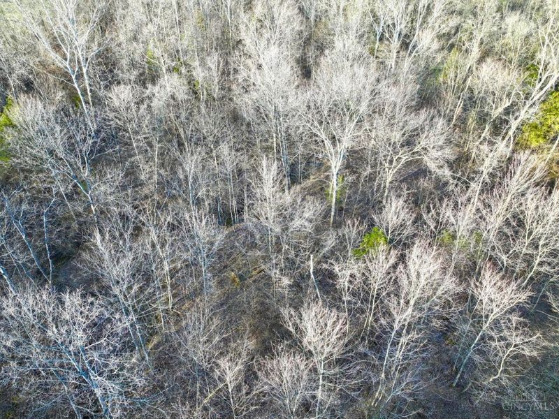 0 Martin Alexander Road, Jackson Twp, OH 45171 Photo 48