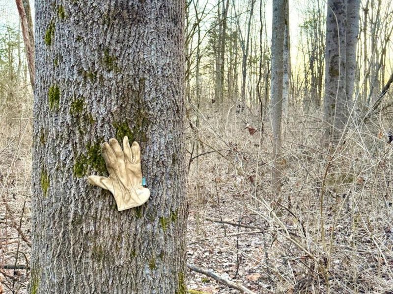 0 Martin Alexander Road, Jackson Twp, OH 45171 Photo 6