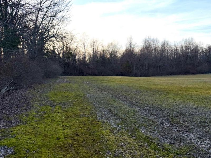 0 Martin Alexander Road, Jackson Twp, OH 45171 Photo 66