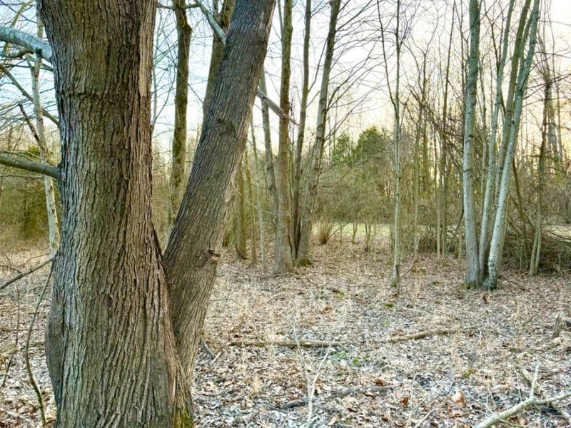 0 Martin Alexander Road, Jackson Twp, OH 45171 Photo 7