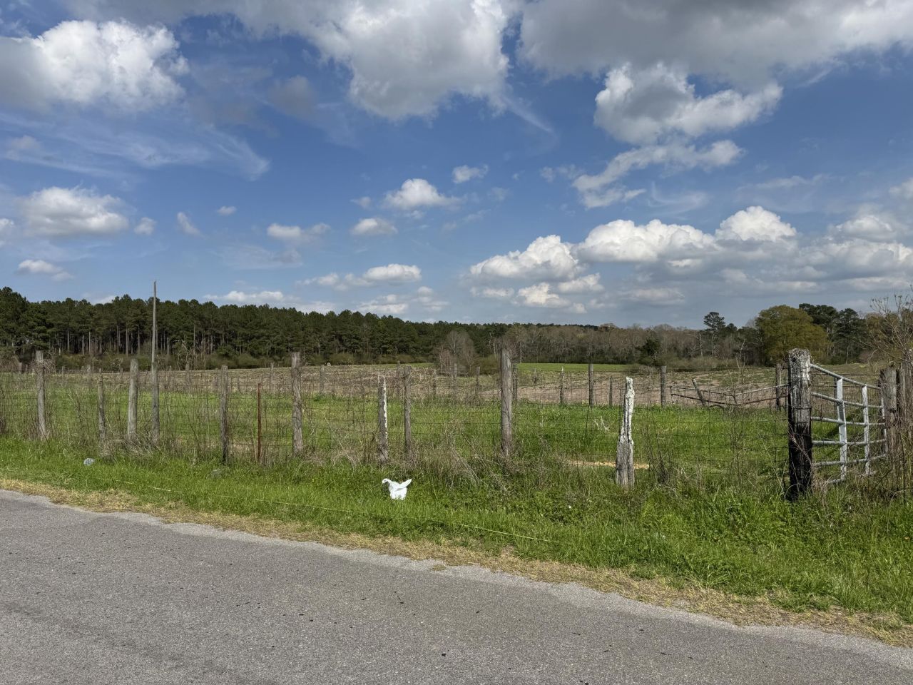 00 Charlie Sanford, Seminary, MS 39479 Main Photo