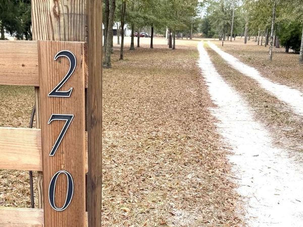 270 NW EDWARD PERRY LANE, Mayo, FL 32066