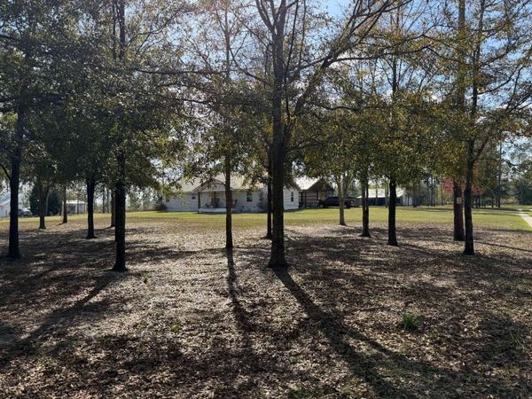 270 NW EDWARD PERRY LANE, Mayo, FL 32066