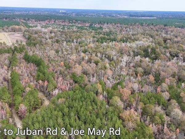 TBD 1 Joe May Rd, Denham Springs, LA 70726