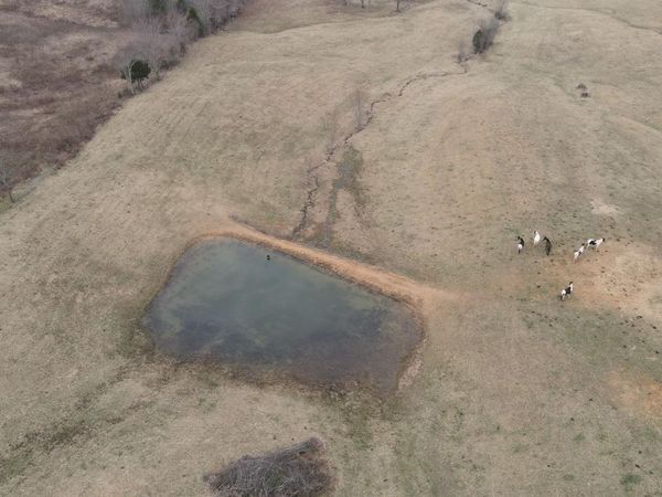 0 Clayton Angel Road, Pikeville, TN 37367