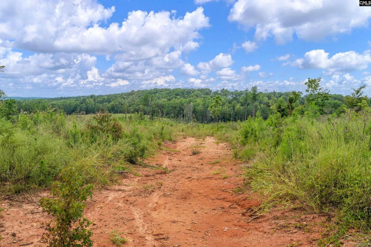 0000 Penner Road Photo 31