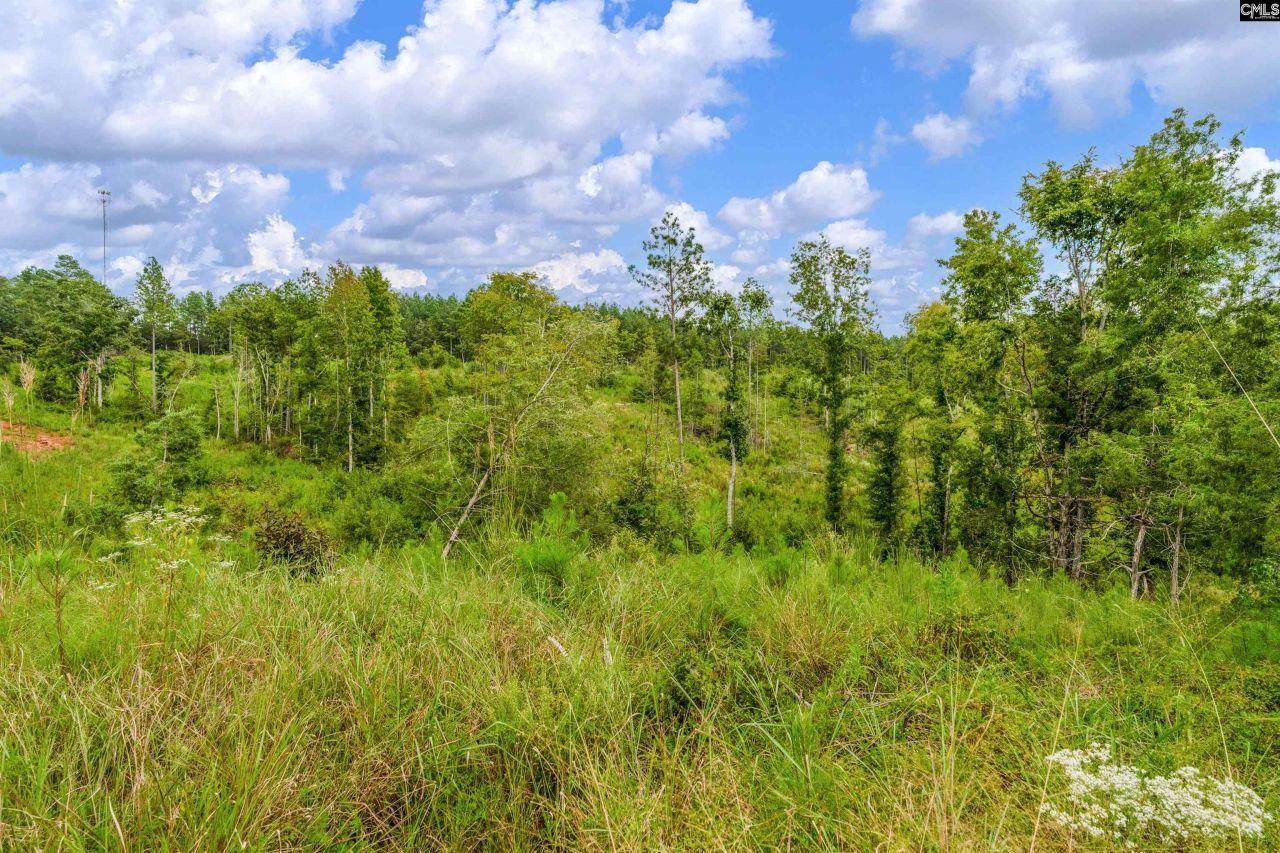 0000 Penner Road Photo 34