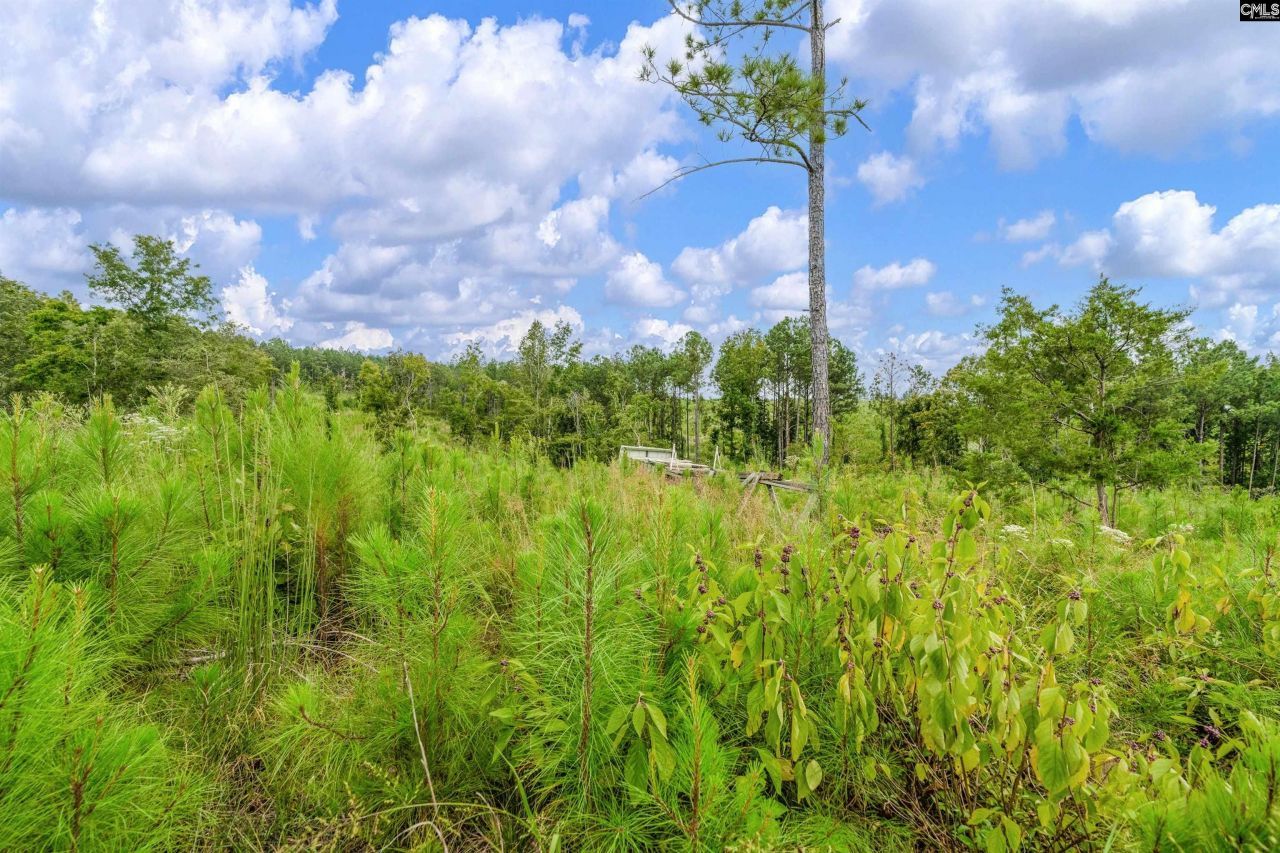 0000 Penner Road Photo 36