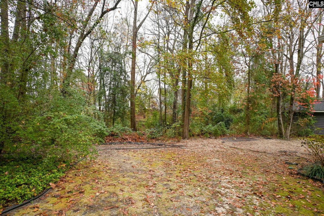 412 Mana Vista Court Photo 62