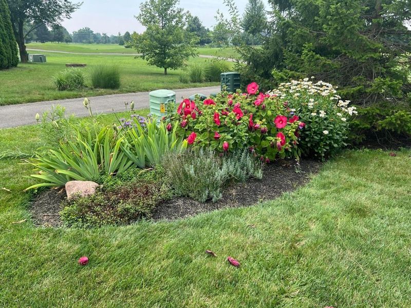 141 Kitdare Drive, Delaware, OH 43015 Photo 43