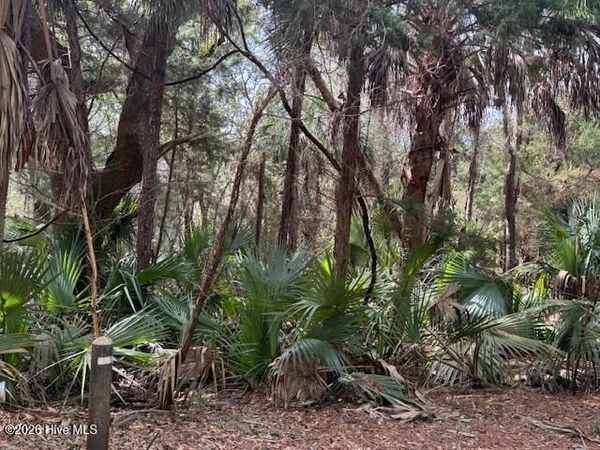 4 Dowitcher Trail, Bald Head Island, NC 28461