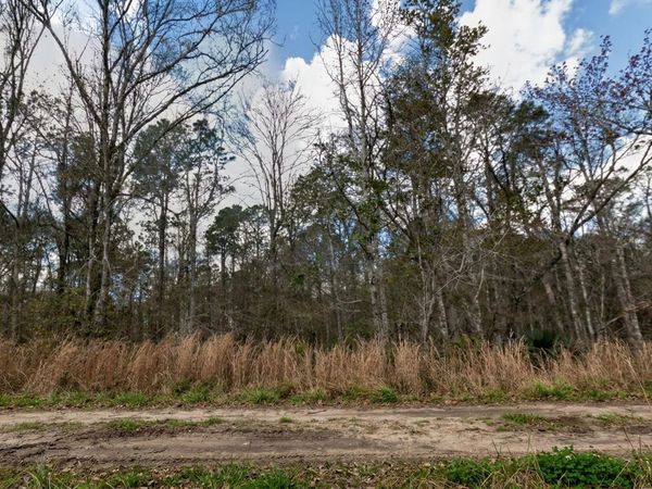 10335 Hennessey Avenue, Hastings, FL 32145