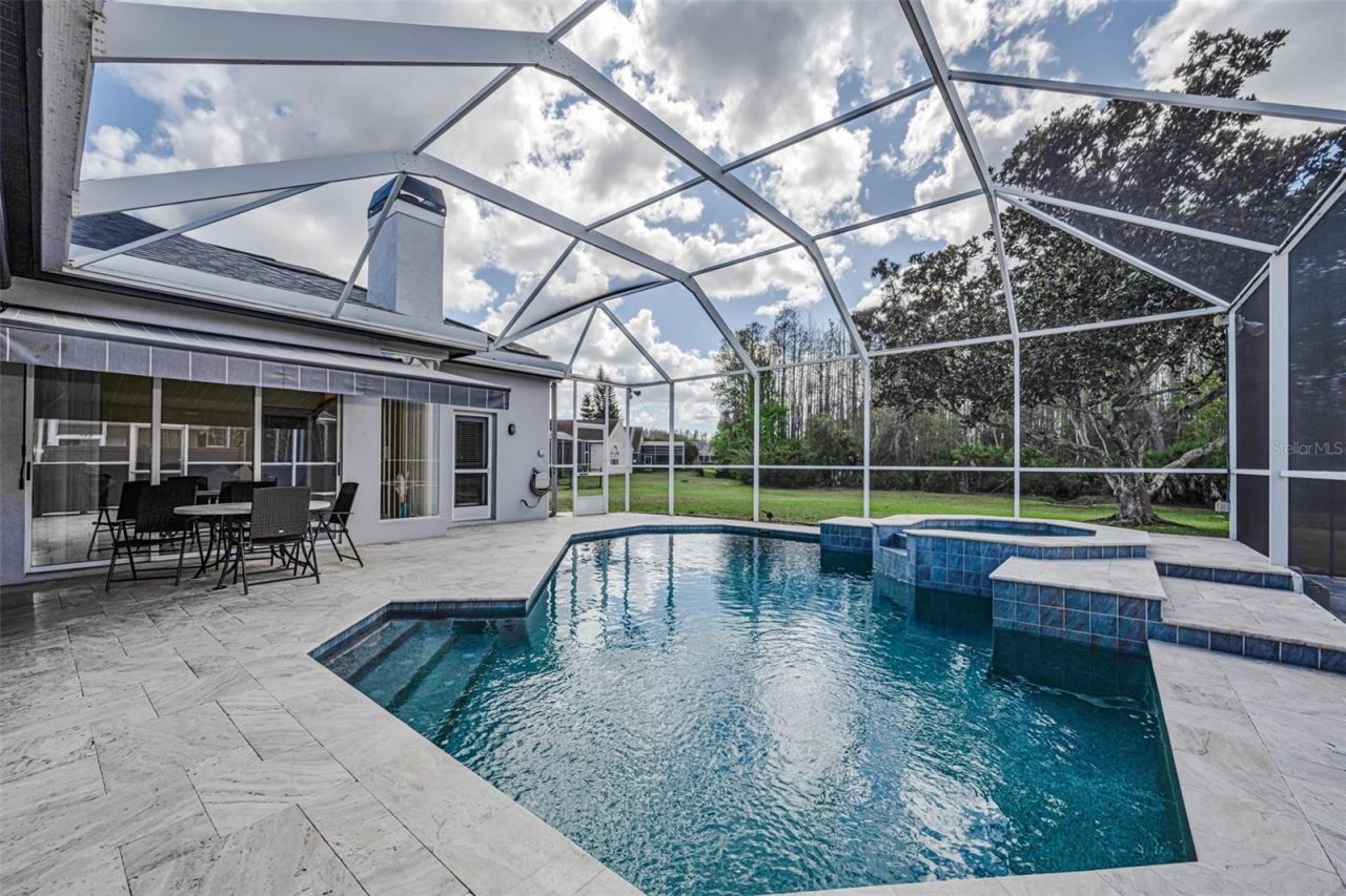 1151 Arlinbrook Drive, Trinity, FL 34655 Photo