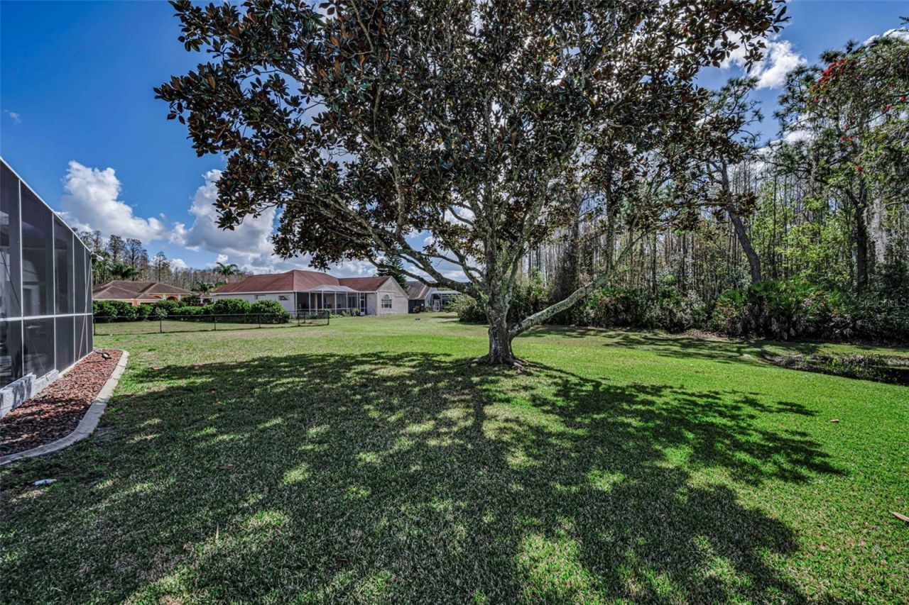 1151 Arlinbrook Drive, Trinity, FL 34655 Photo