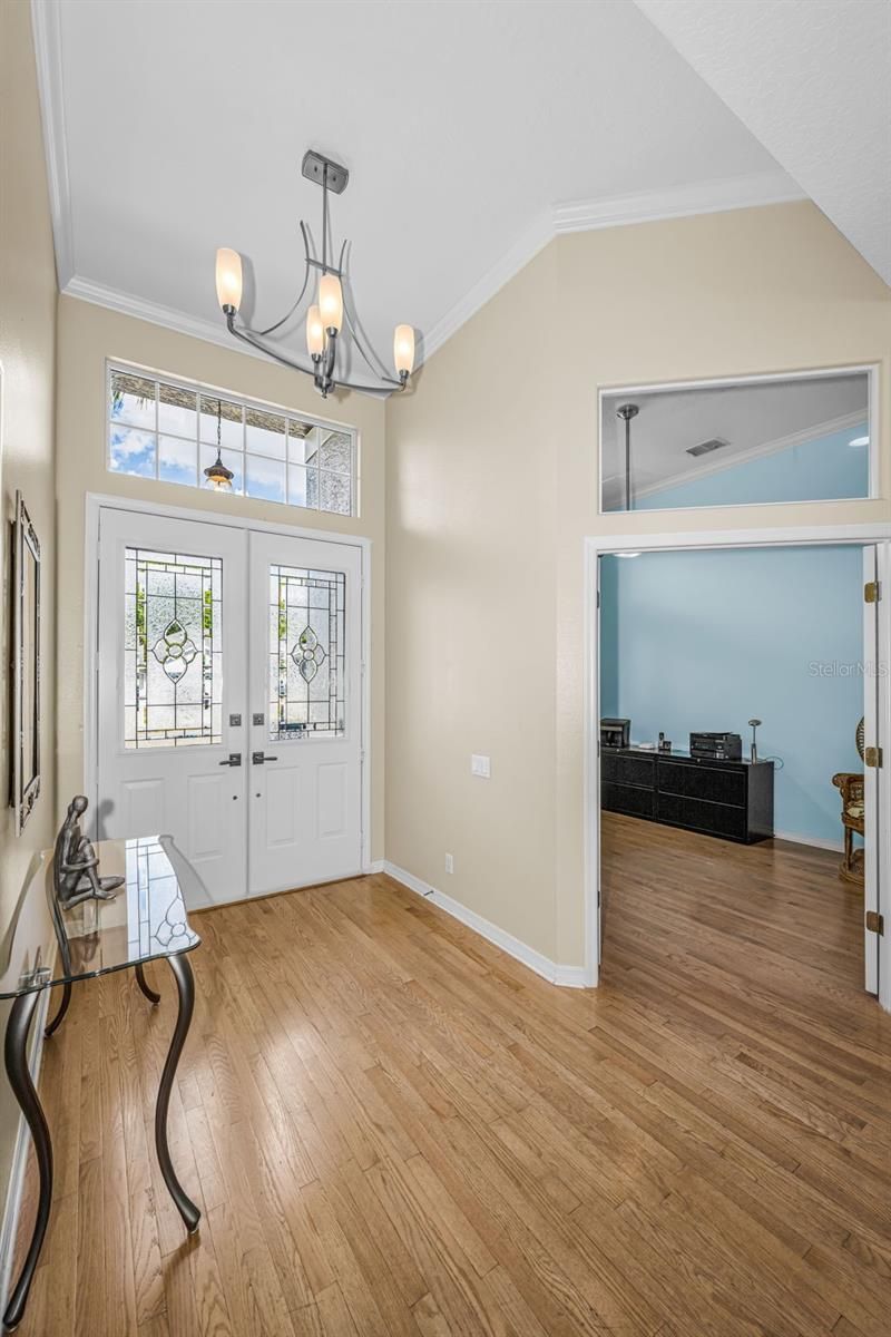 1151 Arlinbrook Drive, Trinity, FL 34655 Photo