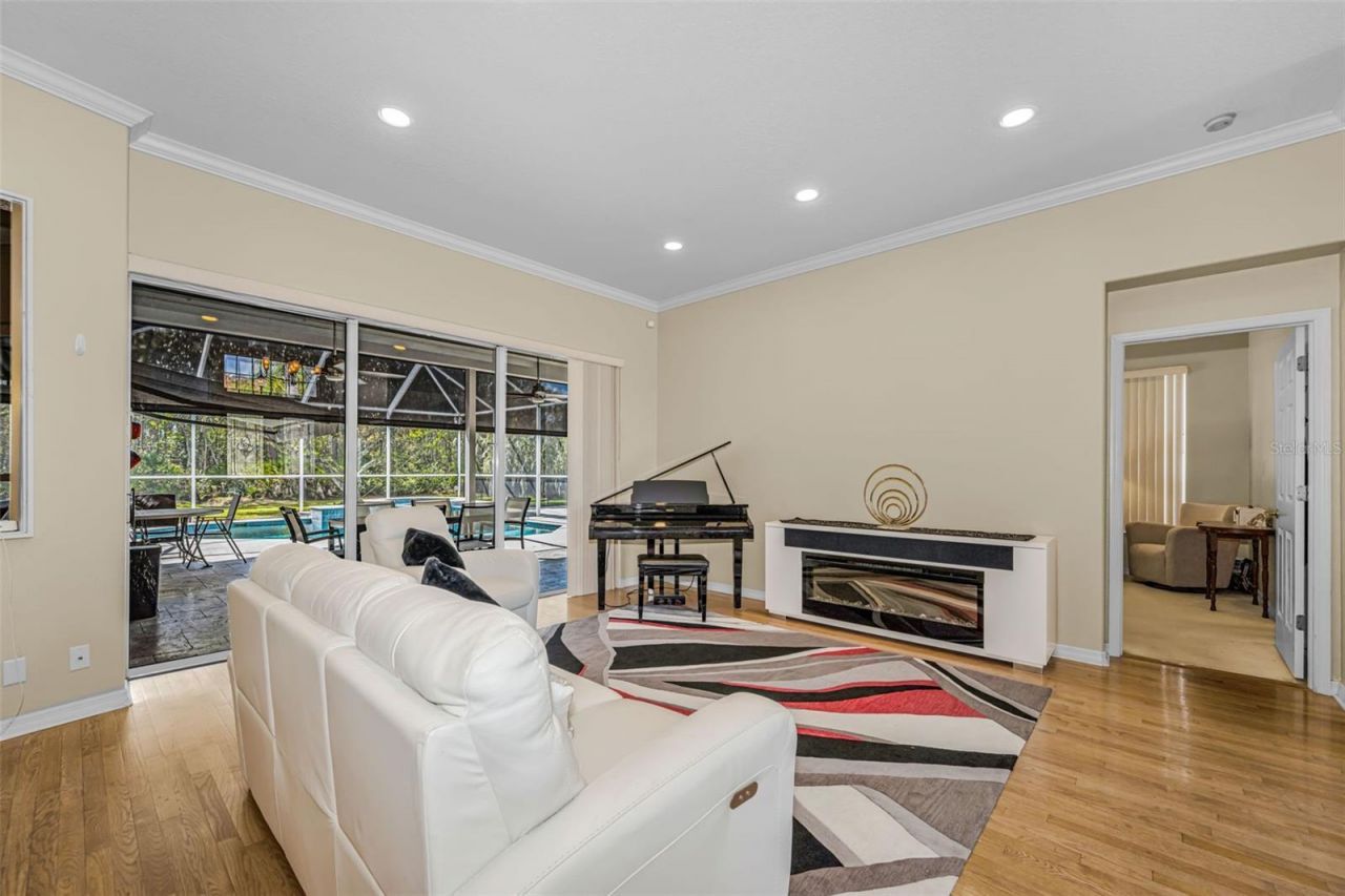 1151 Arlinbrook Drive, Trinity, FL 34655 Photo