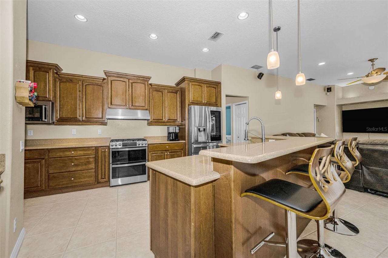 1151 Arlinbrook Drive, Trinity, FL 34655 Photo