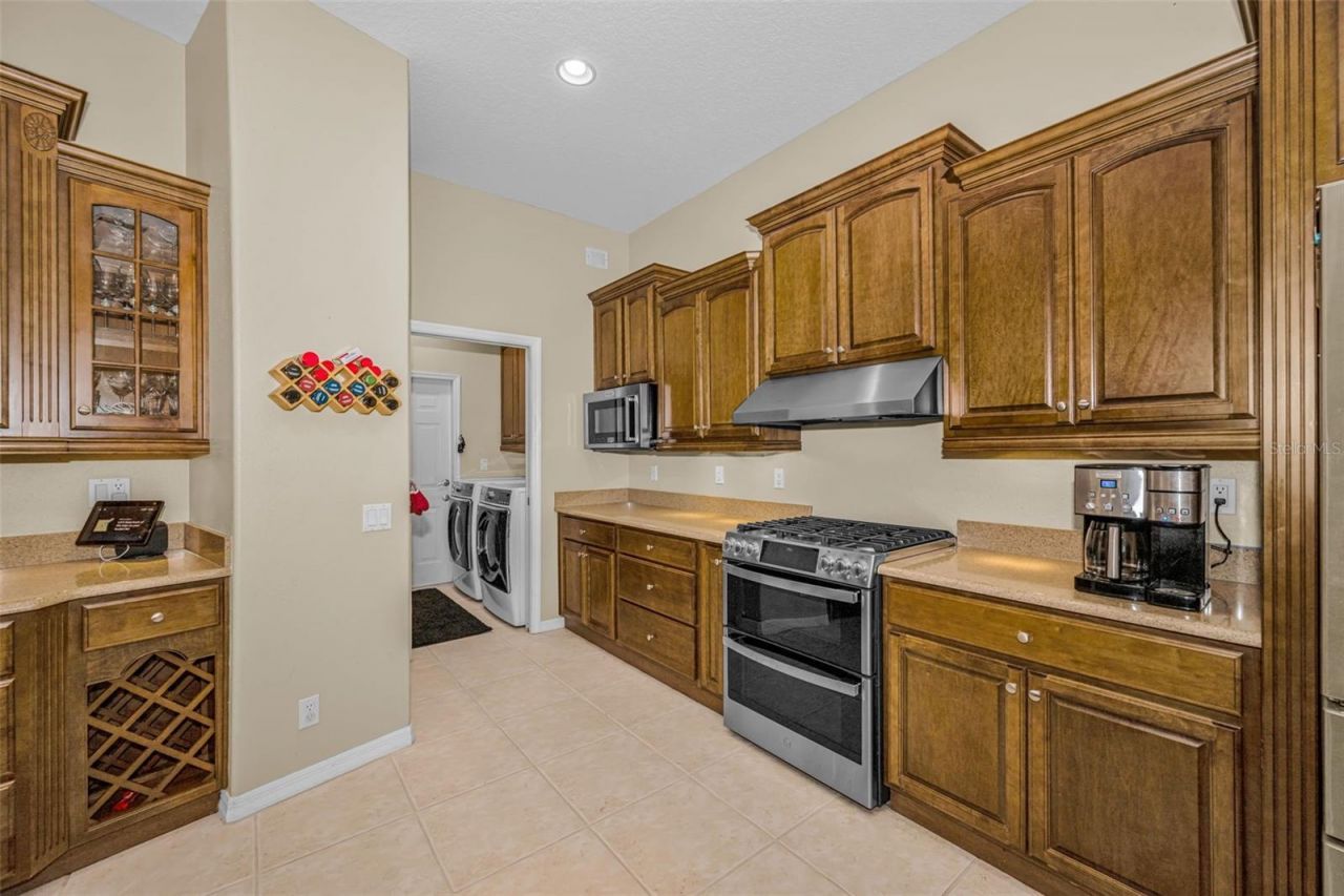 1151 Arlinbrook Drive, Trinity, FL 34655 Photo