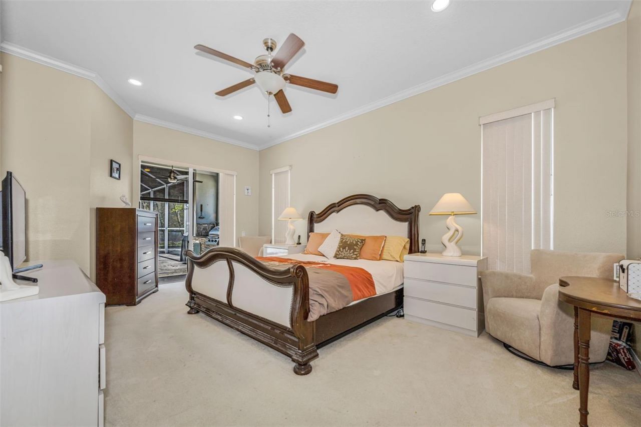 1151 Arlinbrook Drive, Trinity, FL 34655 Photo