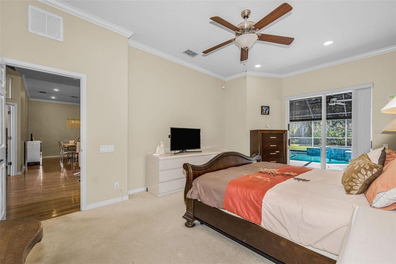 1151 Arlinbrook Drive, Trinity, FL 34655 Photo