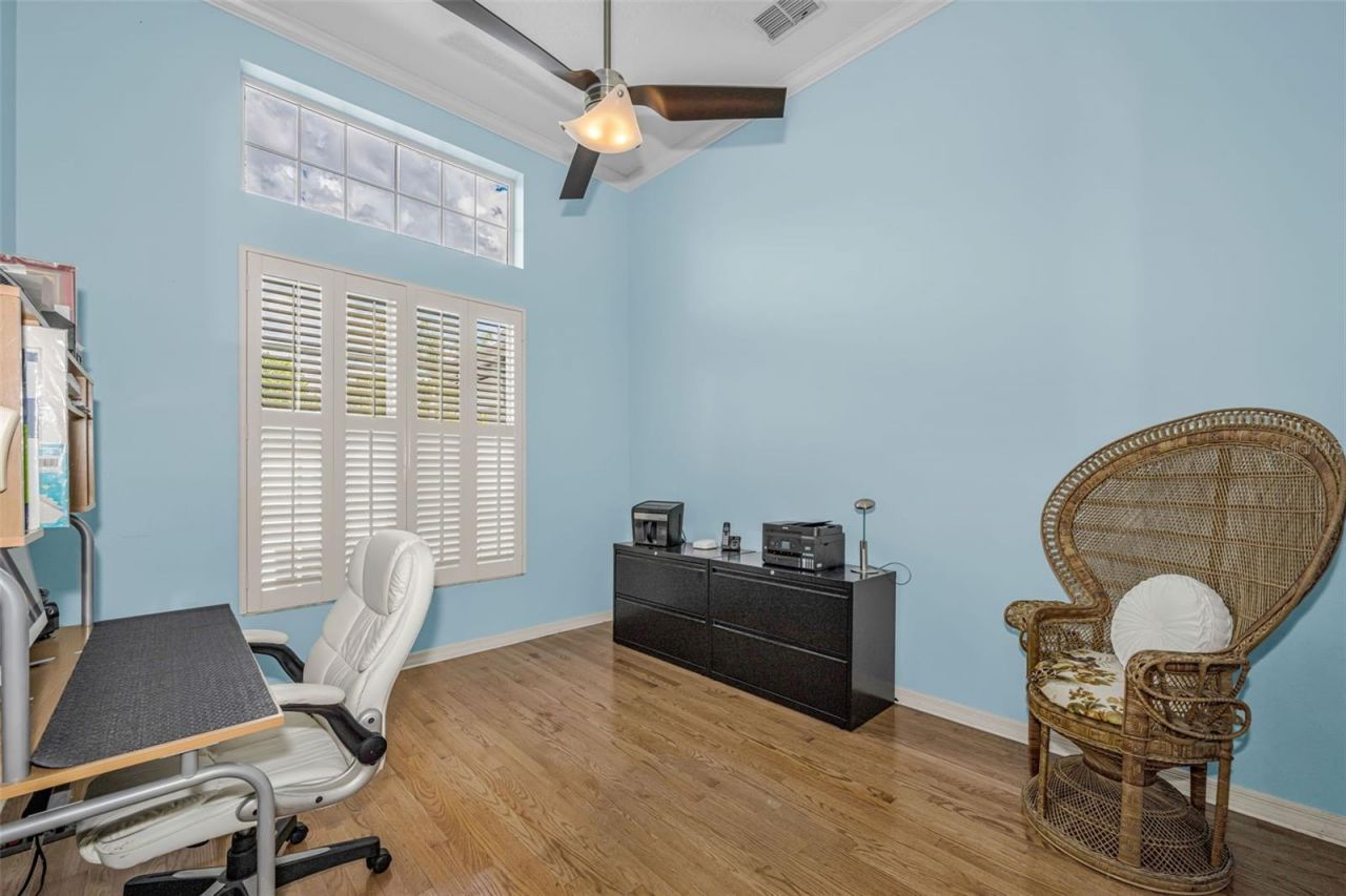 1151 Arlinbrook Drive, Trinity, FL 34655 Photo