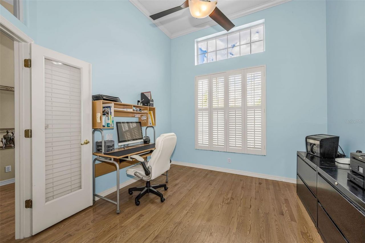 1151 Arlinbrook Drive, Trinity, FL 34655 Photo