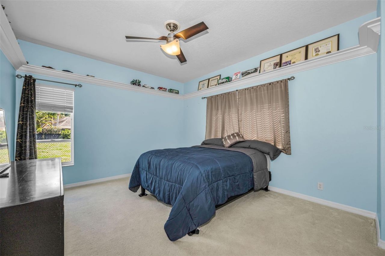 1151 Arlinbrook Drive, Trinity, FL 34655 Photo