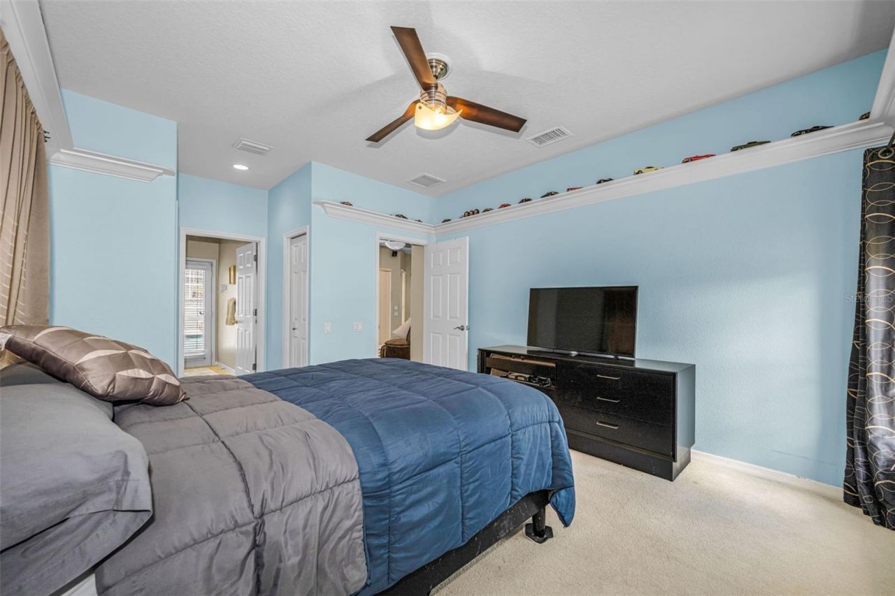 1151 Arlinbrook Drive, Trinity, FL 34655 Photo