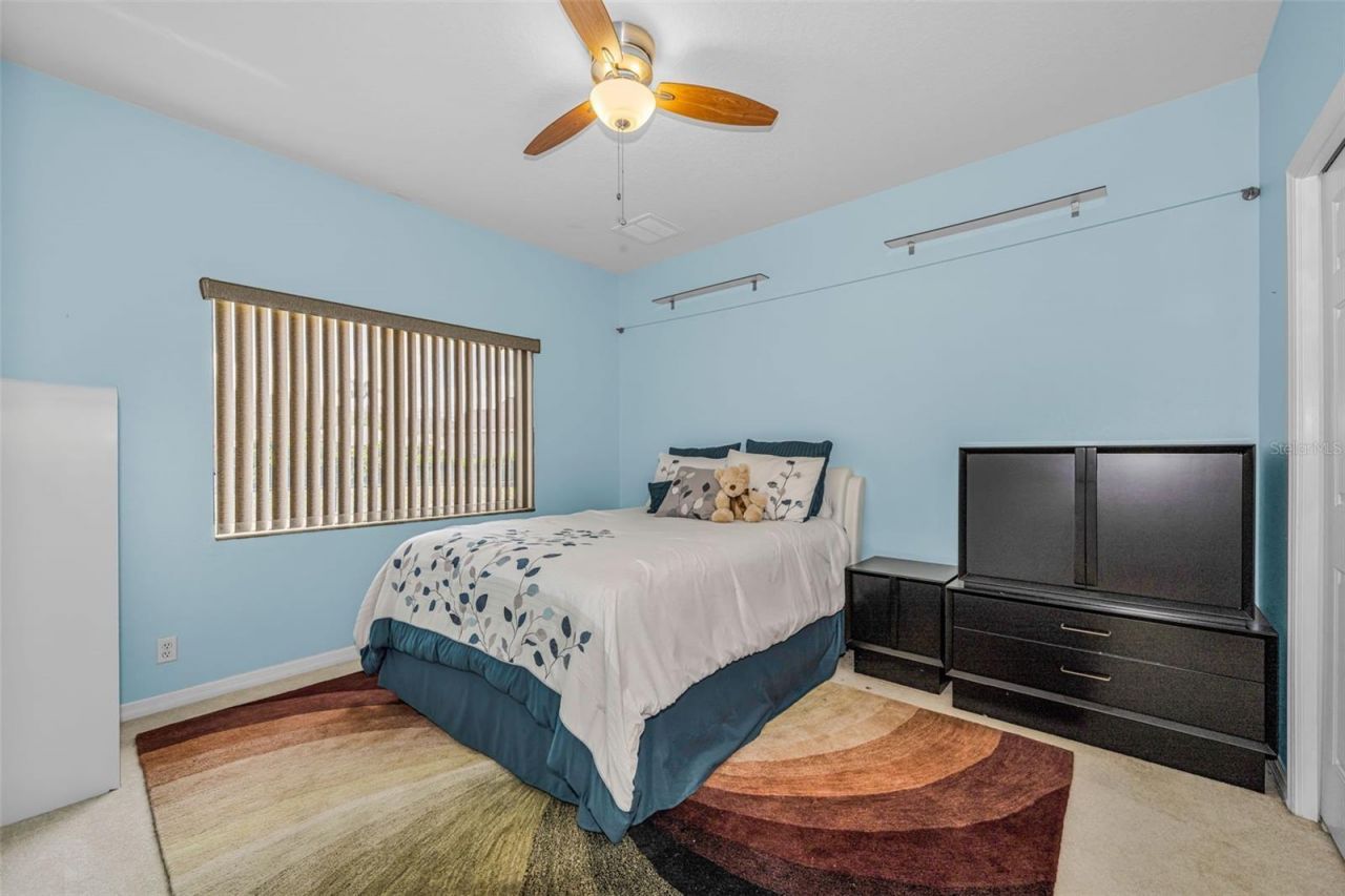 1151 Arlinbrook Drive, Trinity, FL 34655 Photo