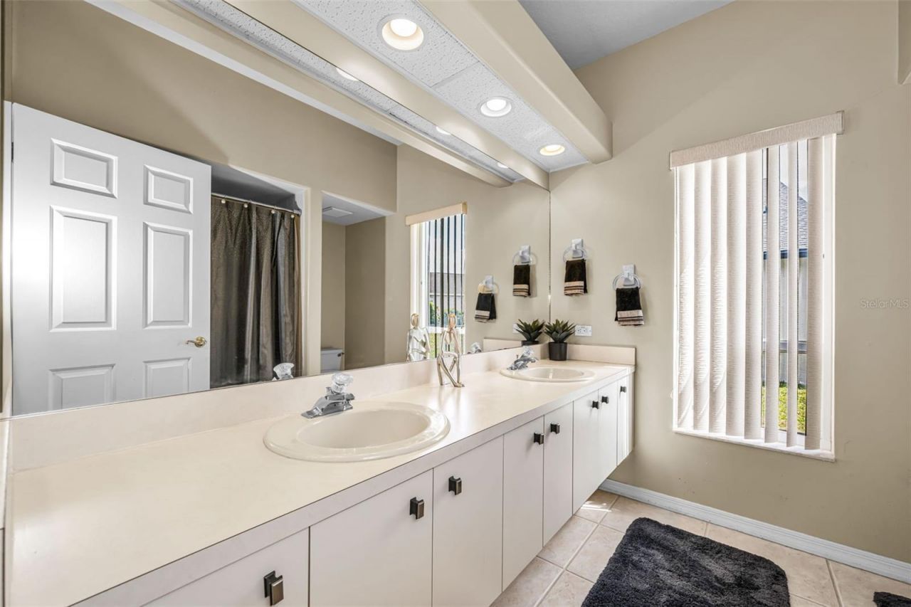 1151 Arlinbrook Drive, Trinity, FL 34655 Photo