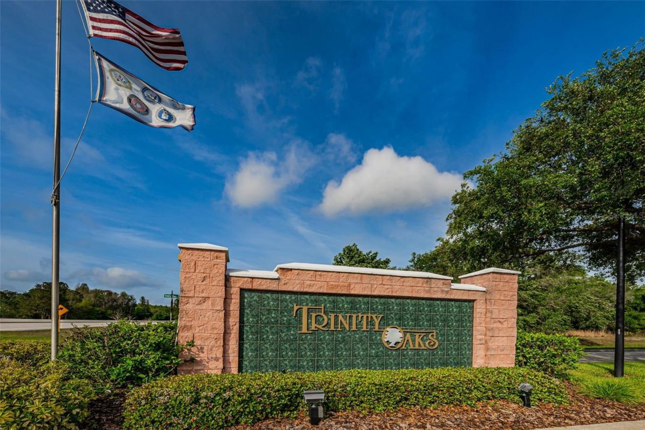 1151 Arlinbrook Drive, Trinity, FL 34655 Photo