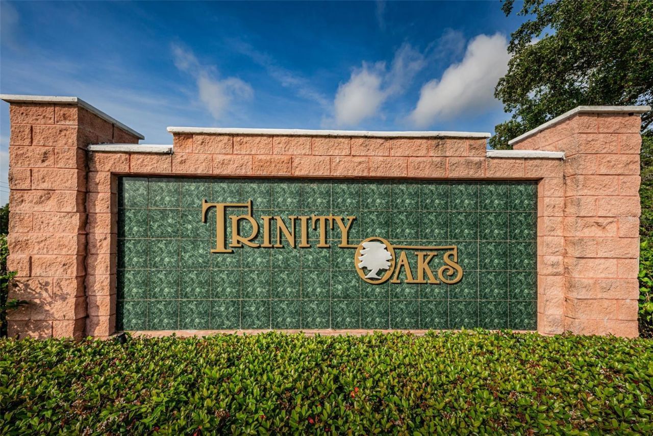 1151 Arlinbrook Drive, Trinity, FL 34655 Photo