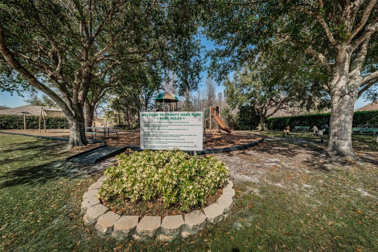 1151 Arlinbrook Drive, Trinity, FL 34655 Photo