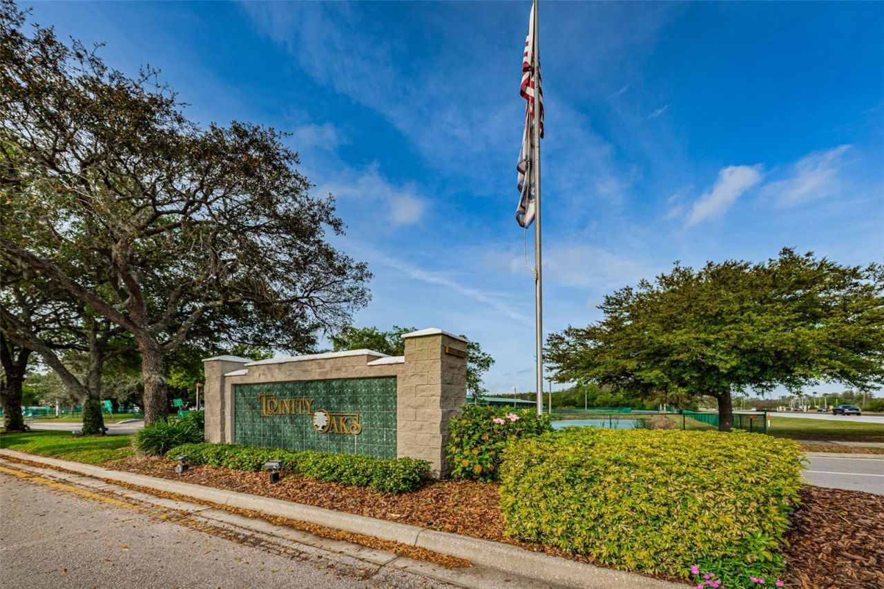 1151 Arlinbrook Drive, Trinity, FL 34655 Photo