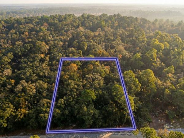 10230 Zigler Avenue, Hastings, FL 32145