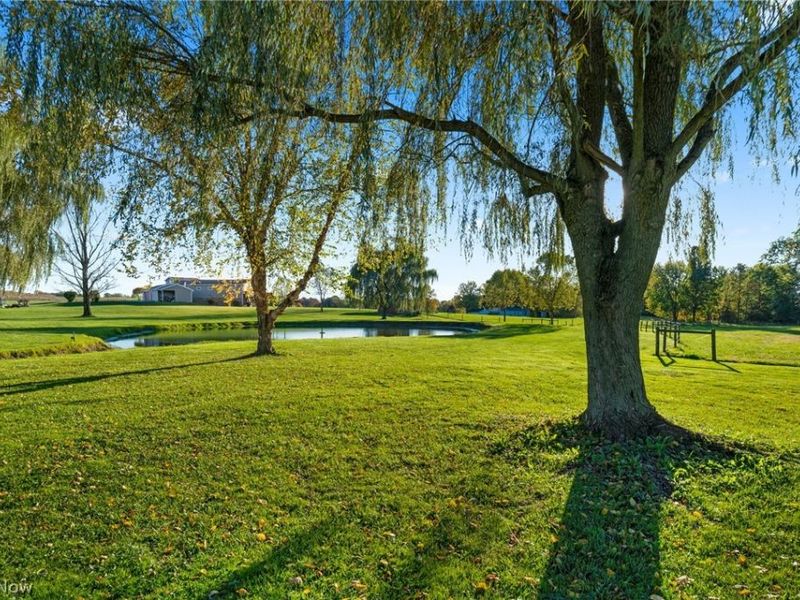 26648 State Route 172, East Rochester, OH 44625 Photo 40