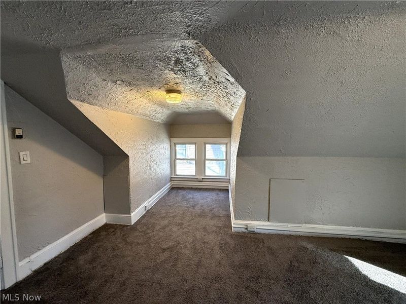 295 Grove Street, Akron, OH 44302 Photo 29