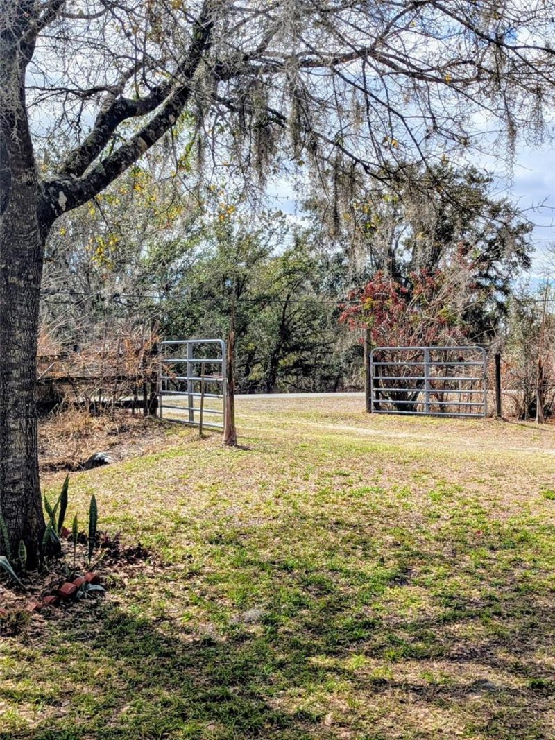 1142 Doc Coil Road , Bowling Green, FL 33834 Photo