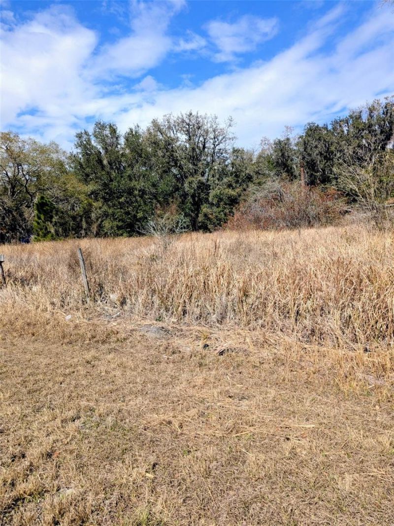 1142 Doc Coil Road , Bowling Green, FL 33834 Photo